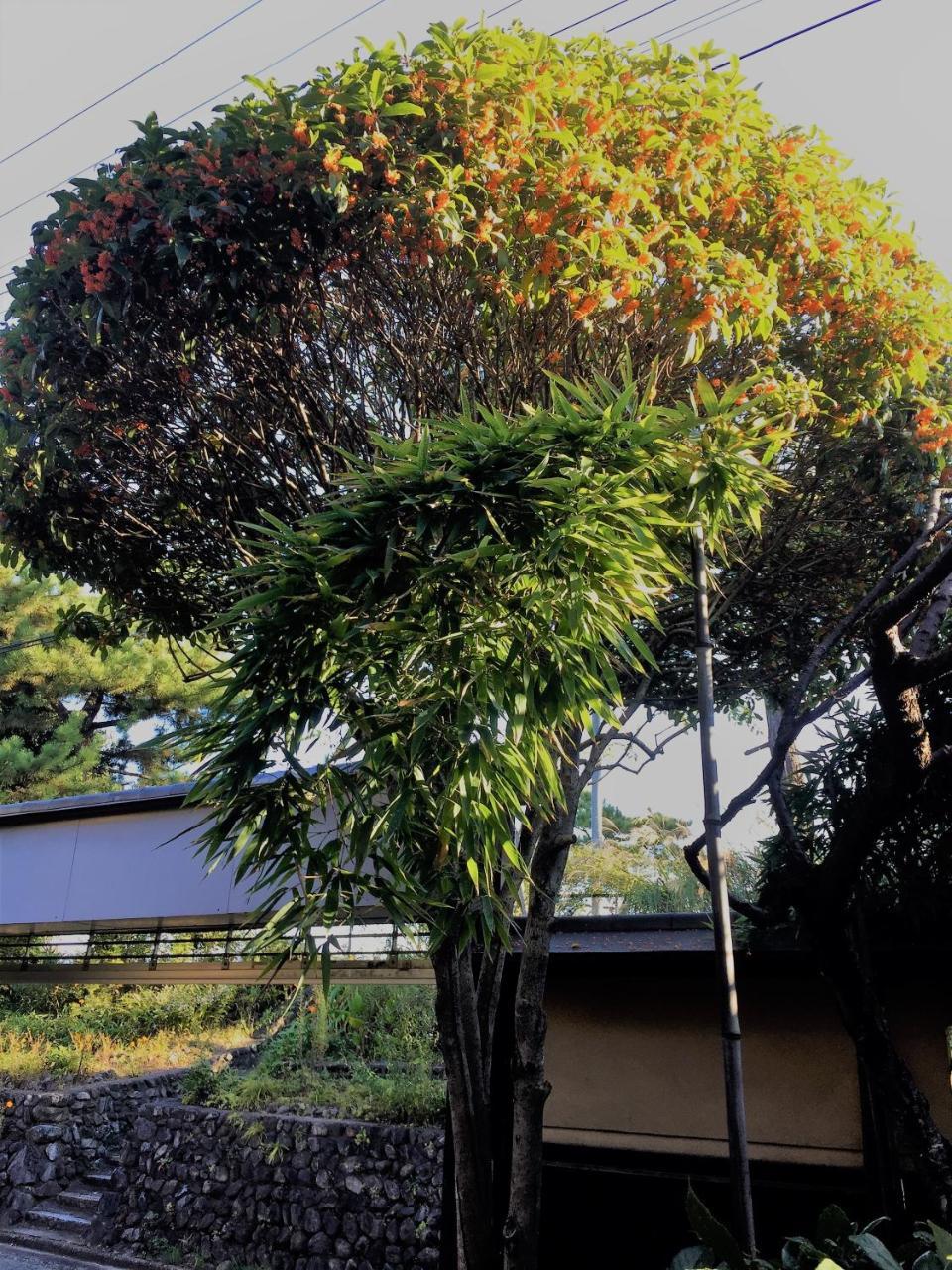ホテル京苑 Kyoen 京町家 京都市 エクステリア 写真